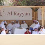 The 2016 Al Rayyan Presentation of Horses