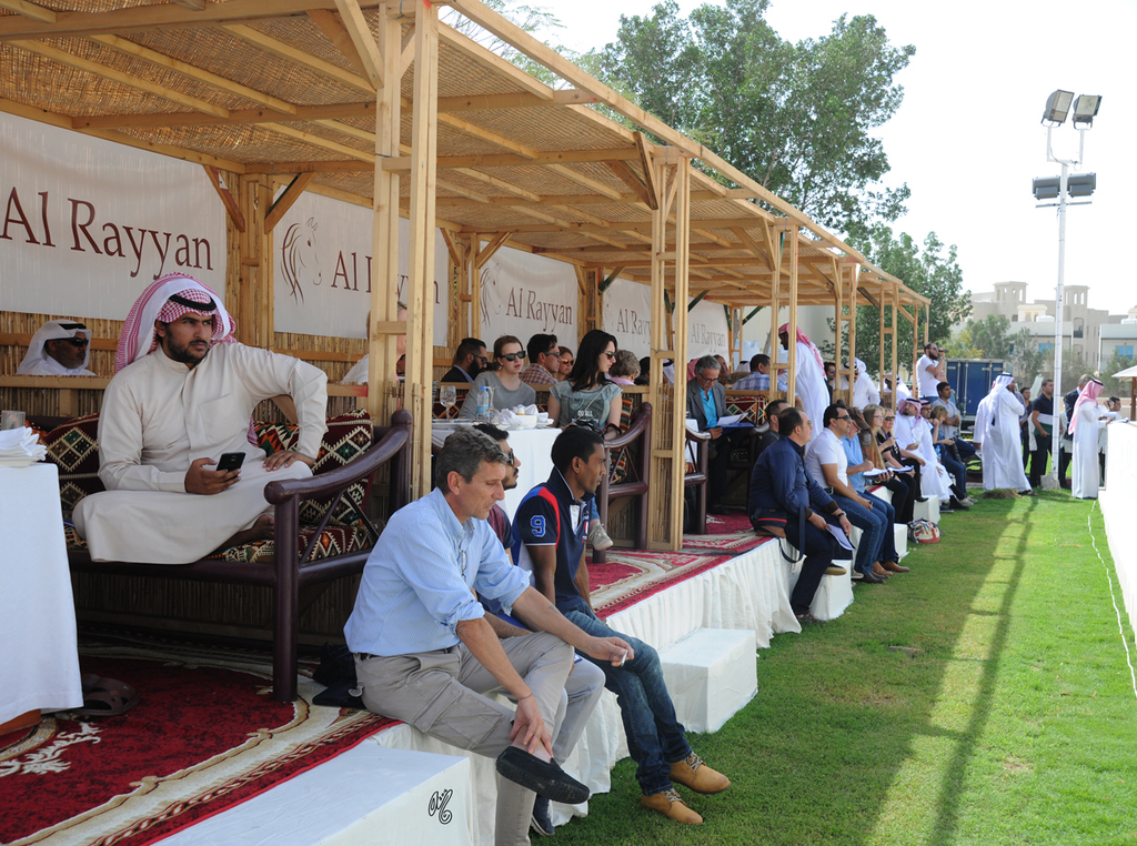 The 2016 Al Rayyan Presentation of Horses