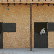 Al Rayyan Farm: Doha, Qatar