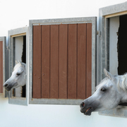 Al Rayyan Farm: Doha, Qatar