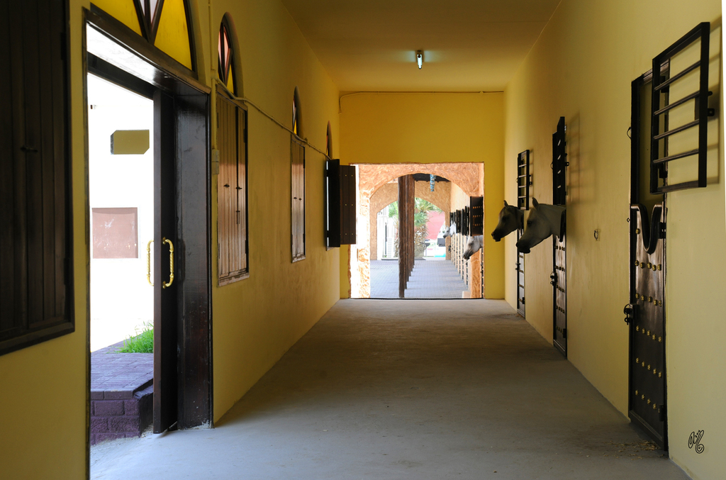 Al Rayyan Farm: Doha, Qatar