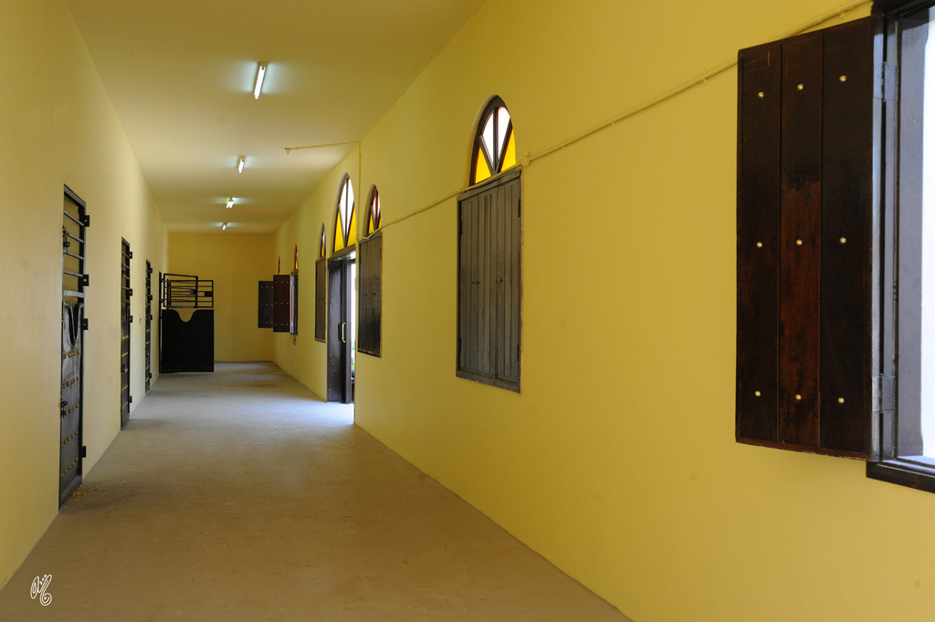 Al Rayyan Farm: Doha, Qatar