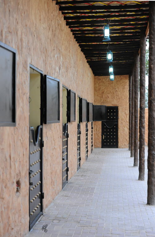 Al Rayyan Farm: Doha, Qatar