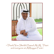 Lisa Abraham: The Al Rayyan Presentation of Horses Photo Gallery: 2016