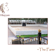 Lisa Abraham: The Al Rayyan Presentation of Horses Photo Gallery: 2016