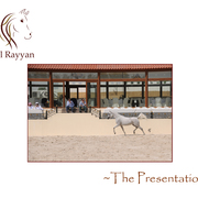 Lisa Abraham: The Al Rayyan Presentation of Horses Photo Gallery: 2016
