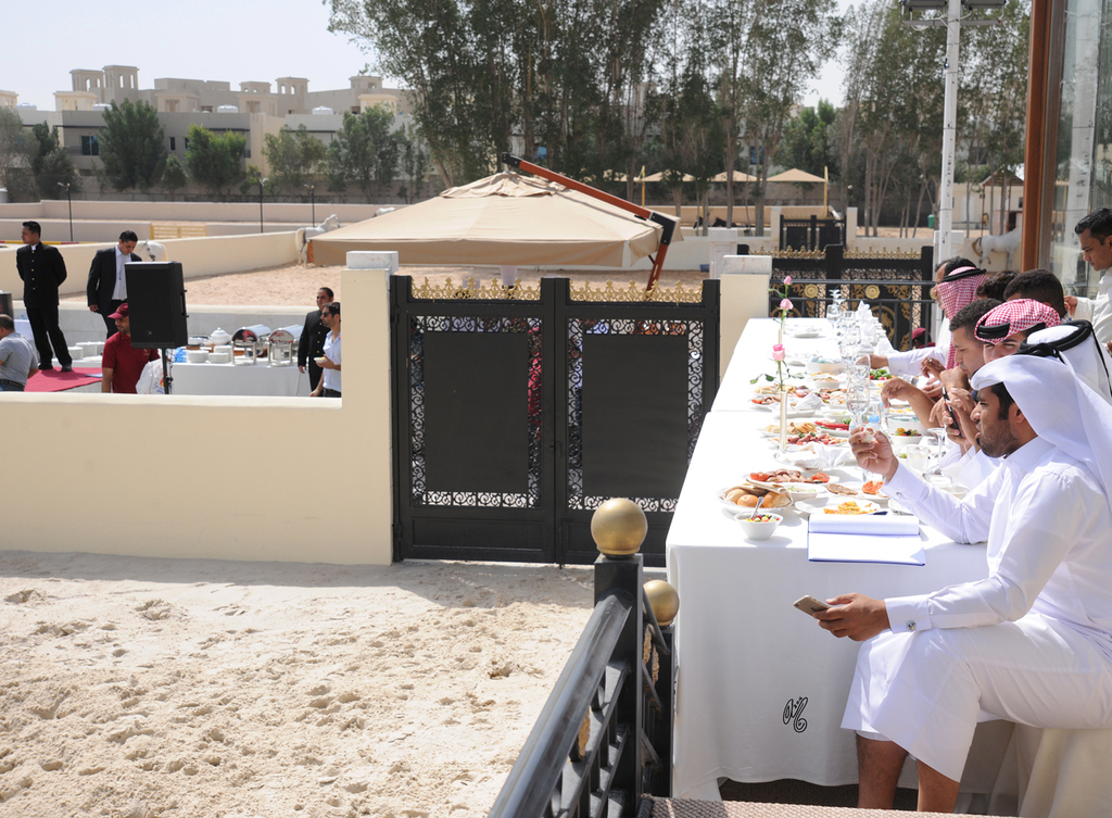 The 2016 Al Rayyan Presentation of Horses