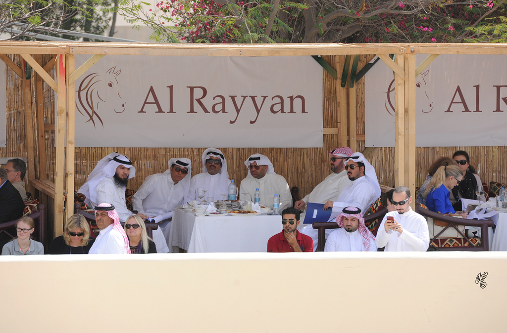 The 2016 Al Rayyan Presentation of Horses