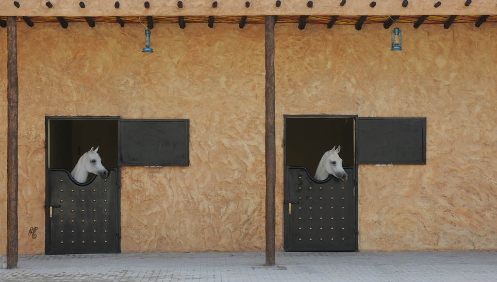 Al Rayyan Farm: Doha, Qatar