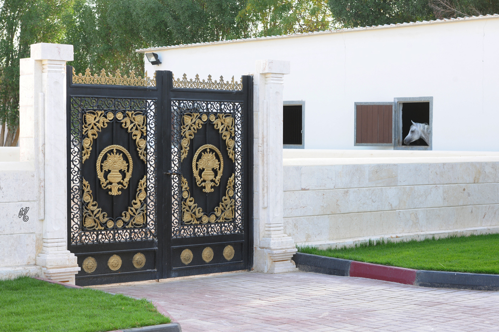 Al Rayyan Farm: Doha, Qatar