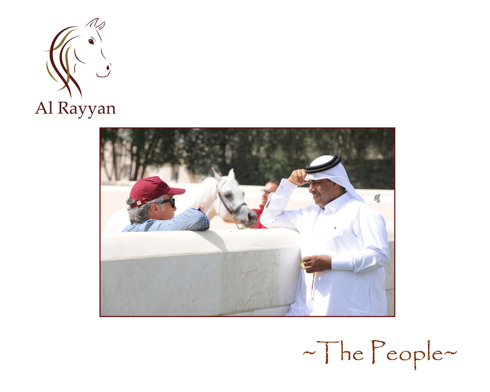 The Al Rayyan Presentation of Horses: 2016