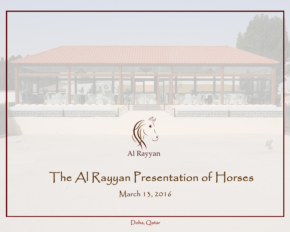Lisa Abraham: The Al Rayyan Presentation of Horses Photo Gallery: 2016