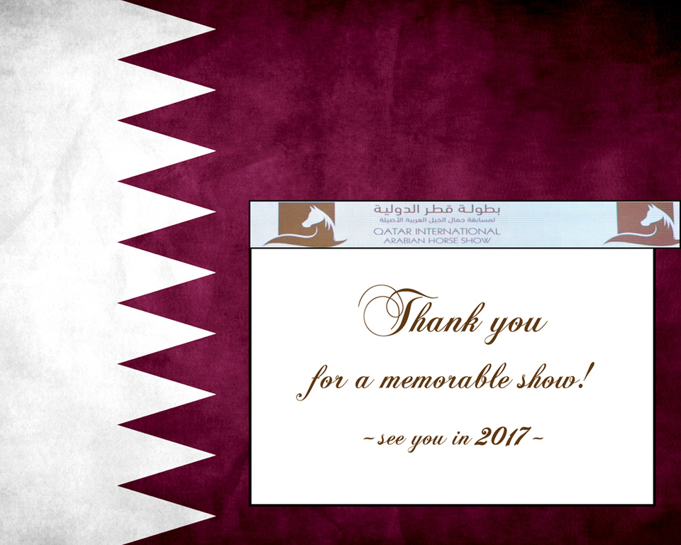 2016 Qatar International Arabian and Arabian Peninsula Horse Shows