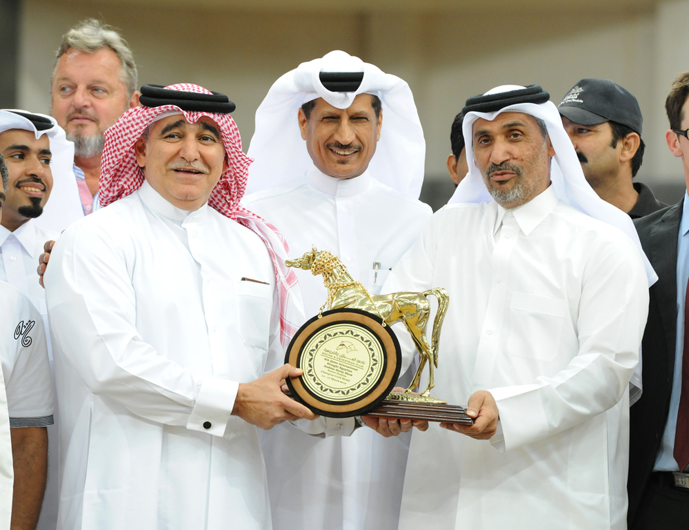 Senior Stallion Gold Champion: Farhoud Al Shaqab  (Al Adeed Al Shaqab X Johara Al Shaqab)