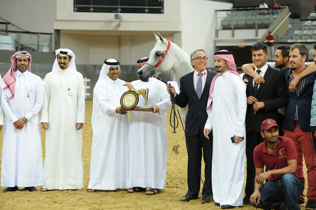 Senior Mare Gold Champion: Rayyana Al Aliya (Ashhal Al Rayyan Asrar Al Rayyan)