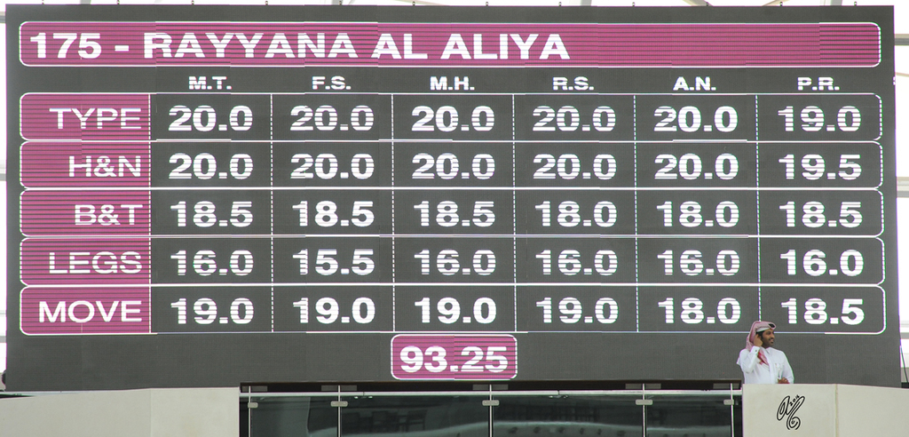 Senior Mare Gold Champion: Rayyana Al Aliya (Ashhal Al Rayyan Asrar Al Rayyan)