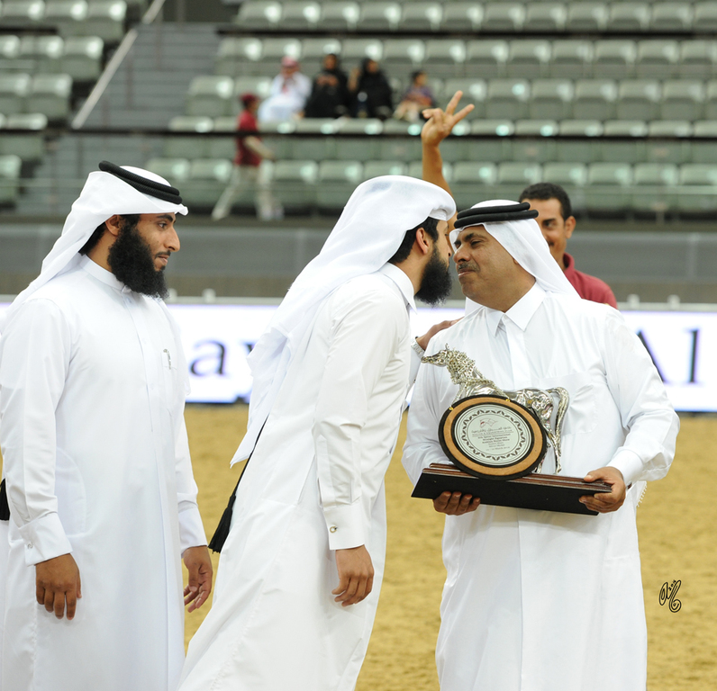 Senior Mare Silver Champion:  Darine Al Rayyan (Ashhal Al Rayyan X Aisha)