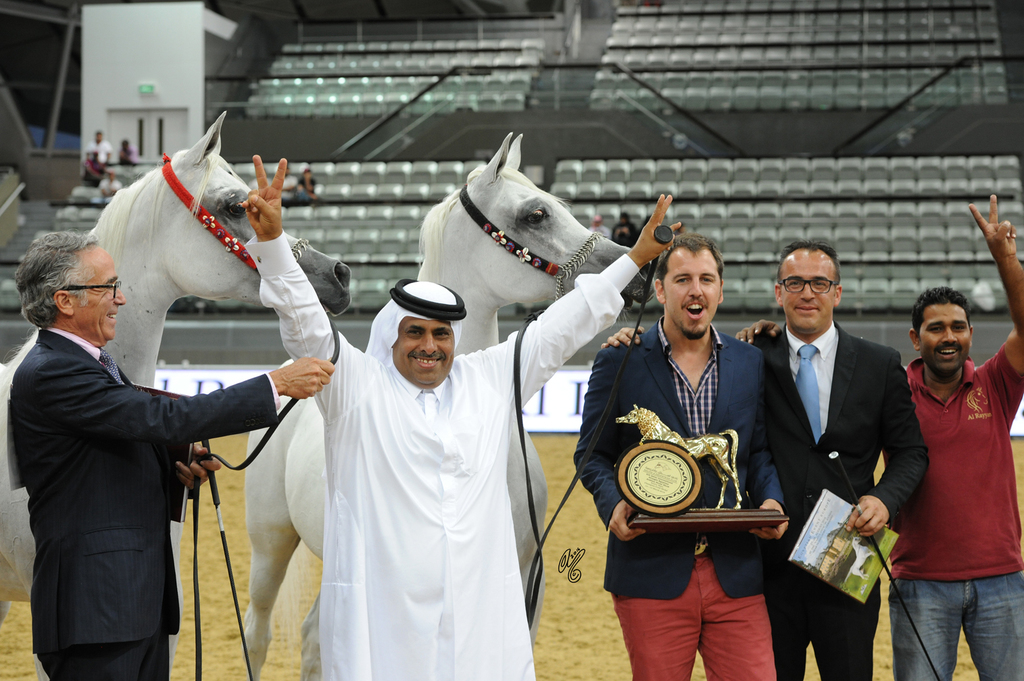 Sheikh Hamad bin Ali Al Thani with Gold and Silver Champion Mares: Rayyana Al Aliya and Darine Al Rayyan
