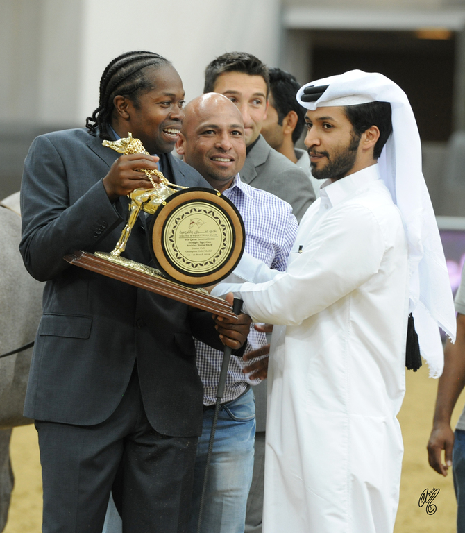 Junior Colt Gold Champion: Hilal Al Waab (Sinan Al Rayyan X Sharuby HP)