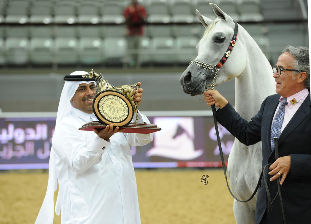 Junior Filly Bronze Champion: Nawaal Al Rayyan (Ansata Sokar X Nadrah Al Rayyan) 