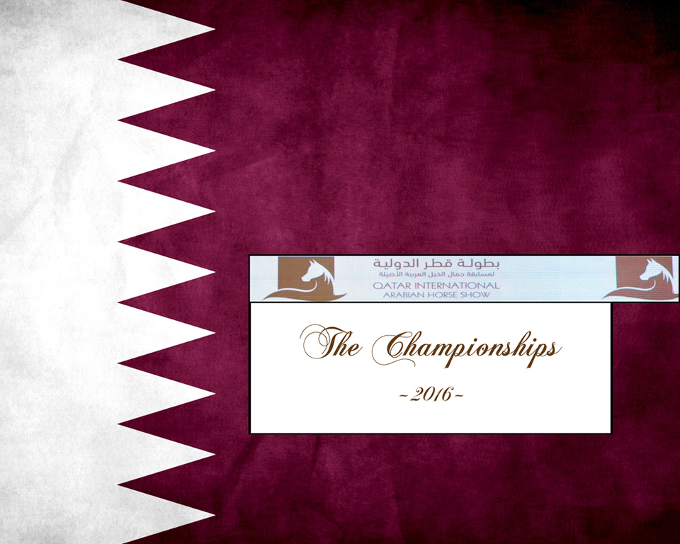 2016 Qatar International Arabian and Arabian Peninsula Horse Shows