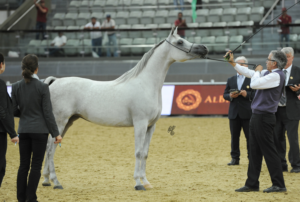  #159 Menouah Al Rayyan