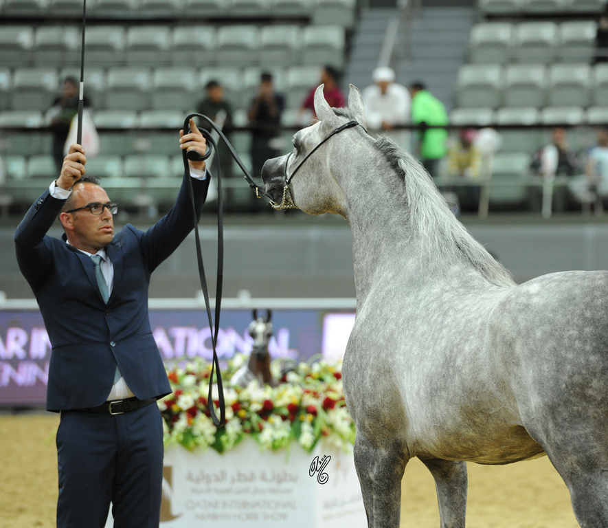 #127 Bebars Al Farida