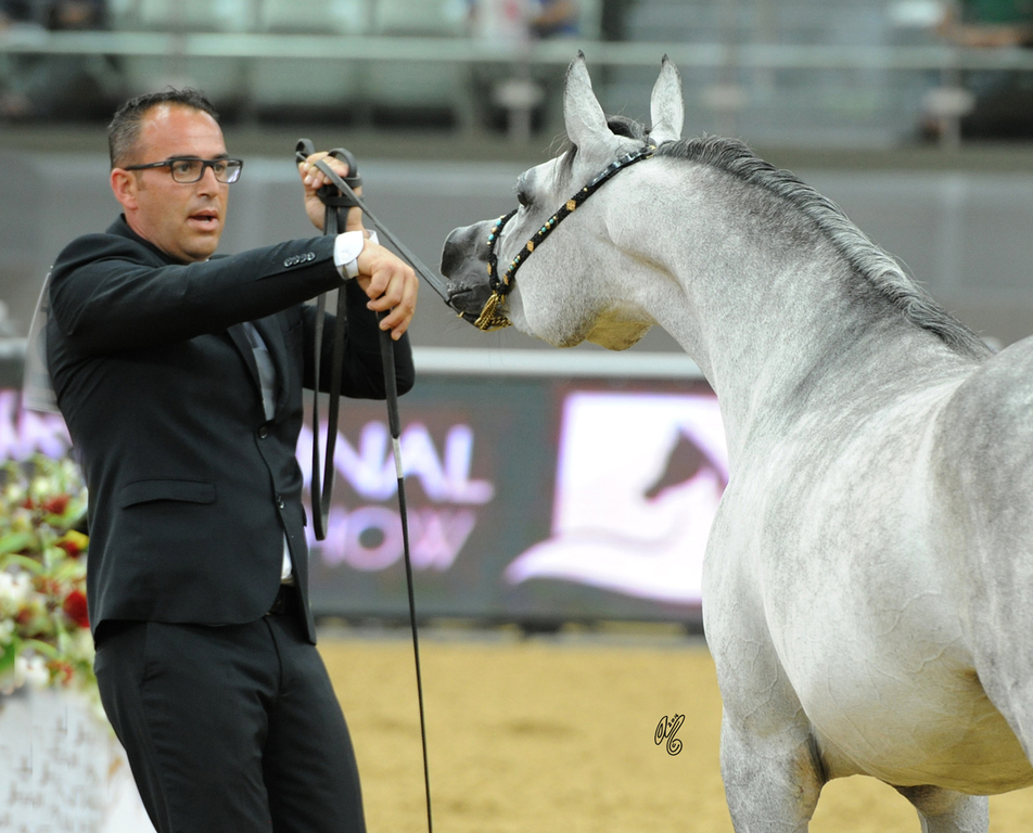 #142 Sahla Al Rayyan