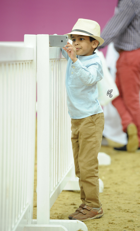 2016 Qatar International Arabian and Arabian Peninsula Horse Shows