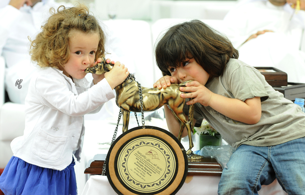 2016 Qatar International Arabian and Arabian Peninsula Horse Shows