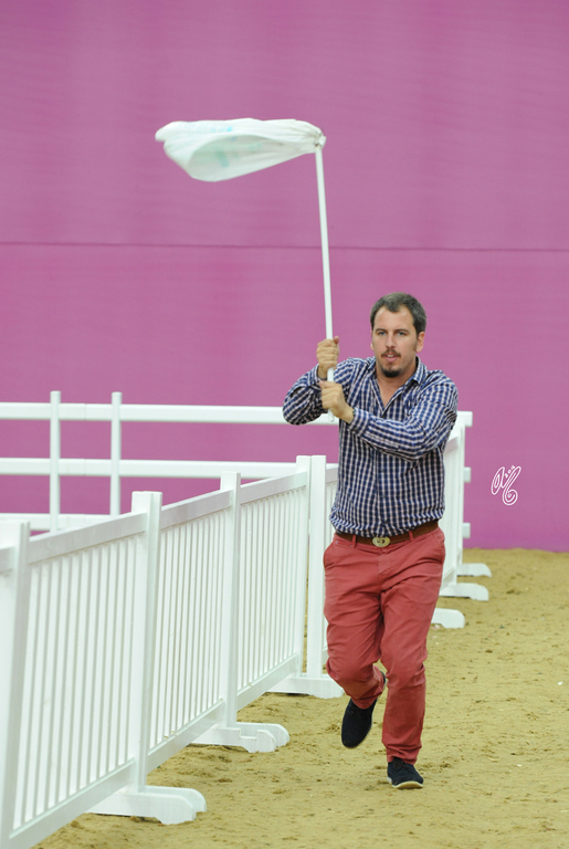 2016 Qatar International Arabian and Arabian Peninsula Horse Shows