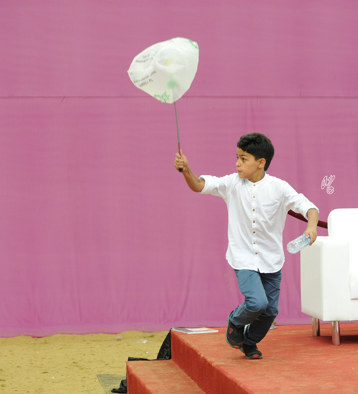 2016 Qatar International Arabian and Arabian Peninsula Horse Shows