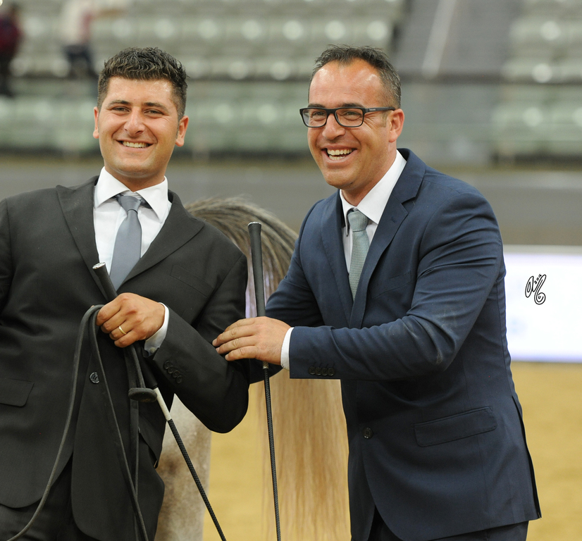 2016 Qatar International Arabian and Arabian Peninsula Horse Shows