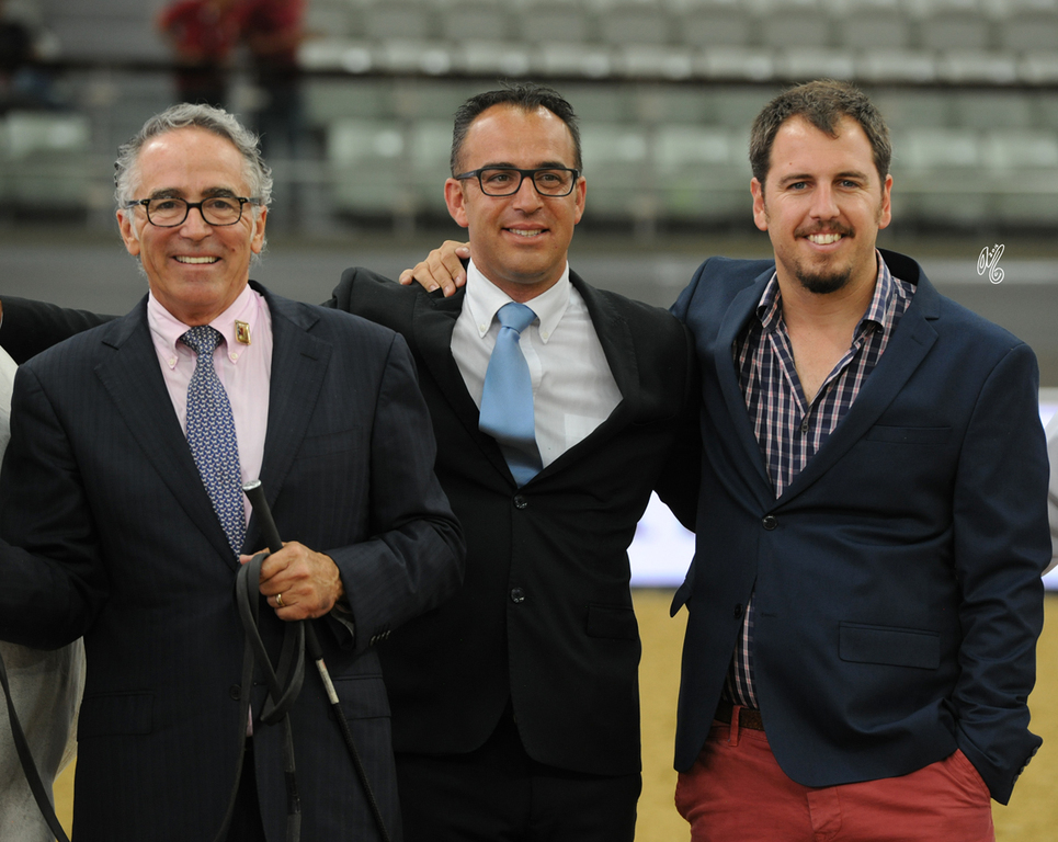 2016 Qatar International Arabian and Arabian Peninsula Horse Shows