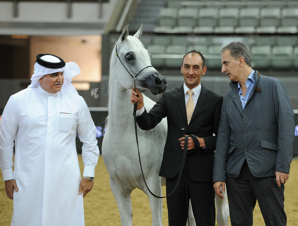 Senior Mare Bronze Champion: Anoud Al Nasser (Ashhal Al Rayyan X Aleysha Al Nasser)