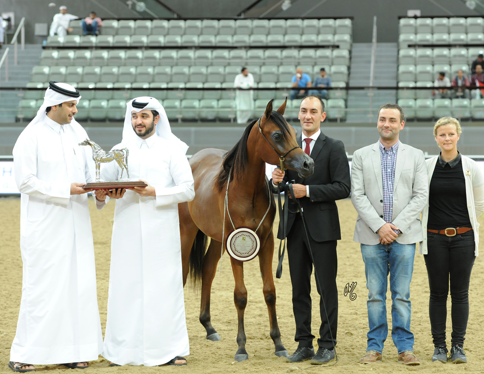 Yearling Filly Silver Champion: Loulou Al Nasser (RFI Farid X Rihab Al Nasser)