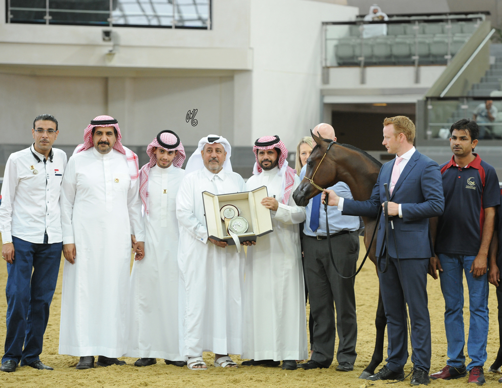Yearling Filly Bronze Champion: Mayar IV (Kanz Al Bidayer X Abha Qawaten)