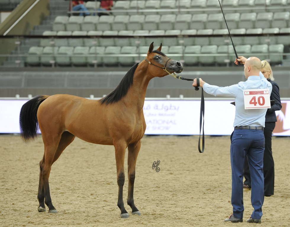 #40 Ebtehal Al Khaladiah