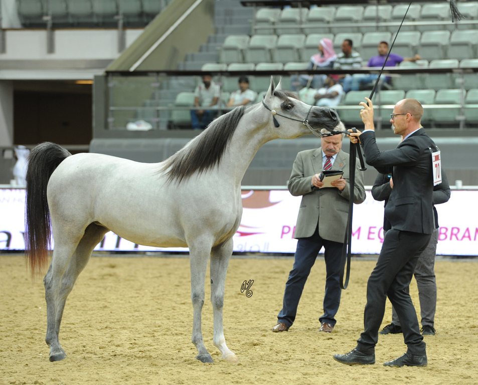 #70 Pandora Al Mohanna