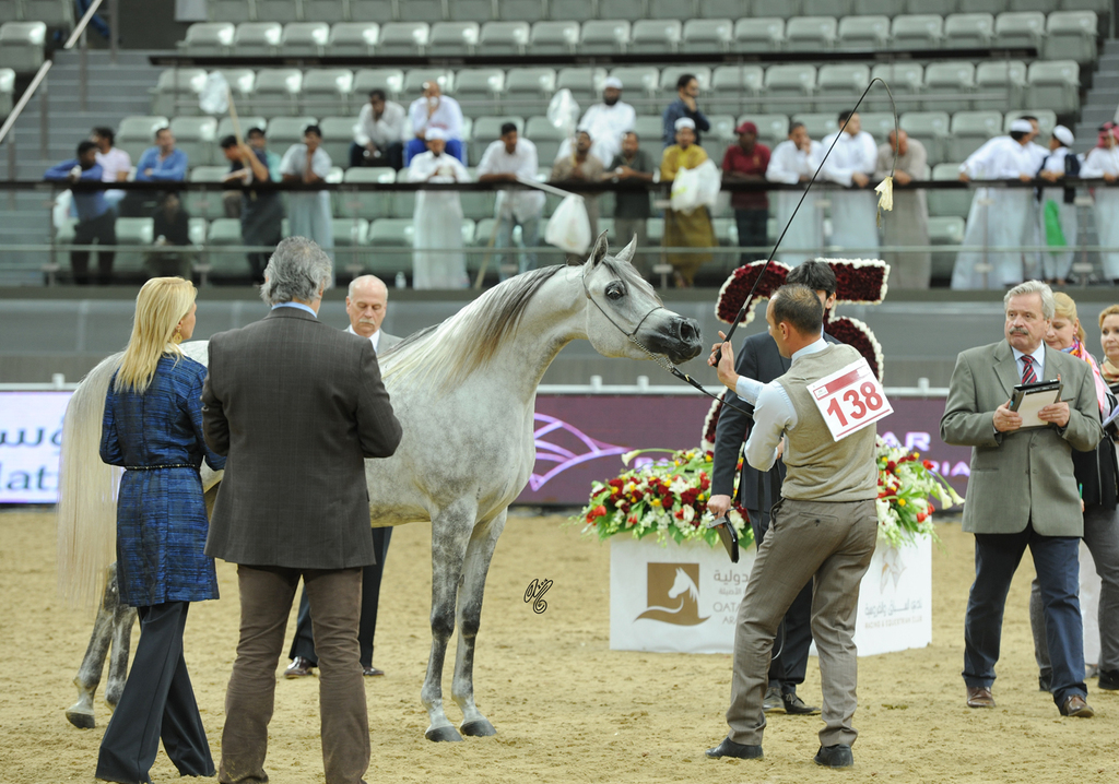  #138 Bushier Al Nasser