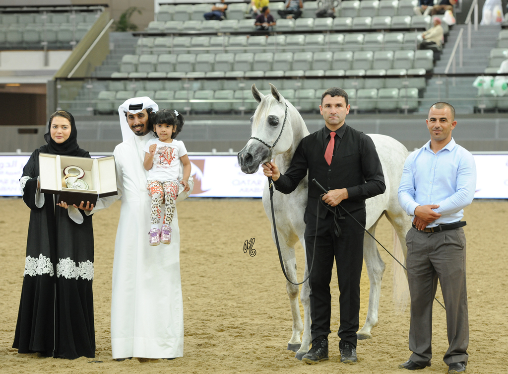 #237 DA Magic Moment 