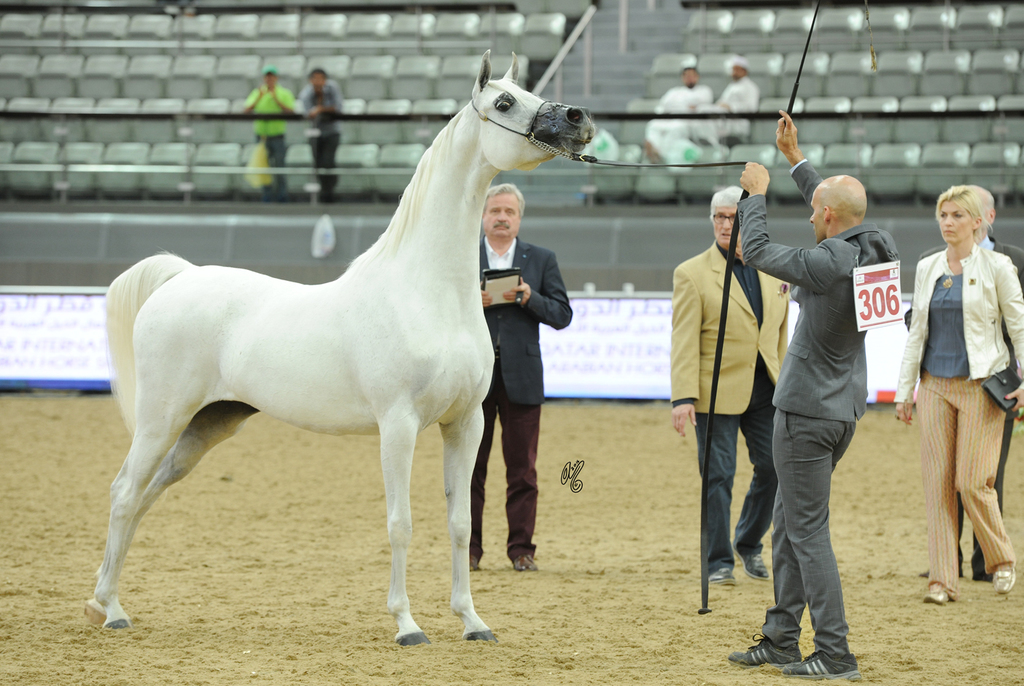 #306 ADH Just Divine