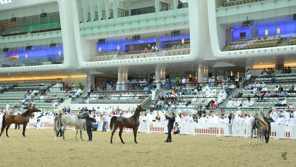 The Al Shaqab Indoor Arena