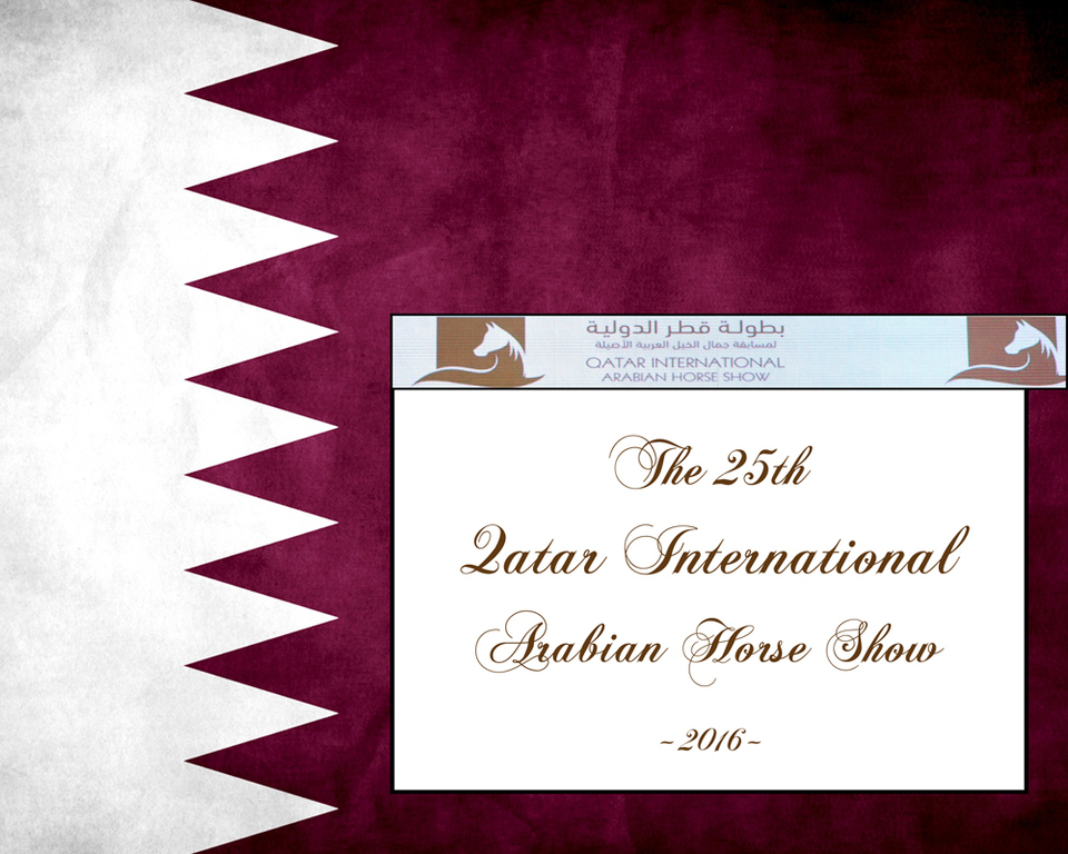 2016 Qatar International Arabian and Arabian Peninsula Horse Shows