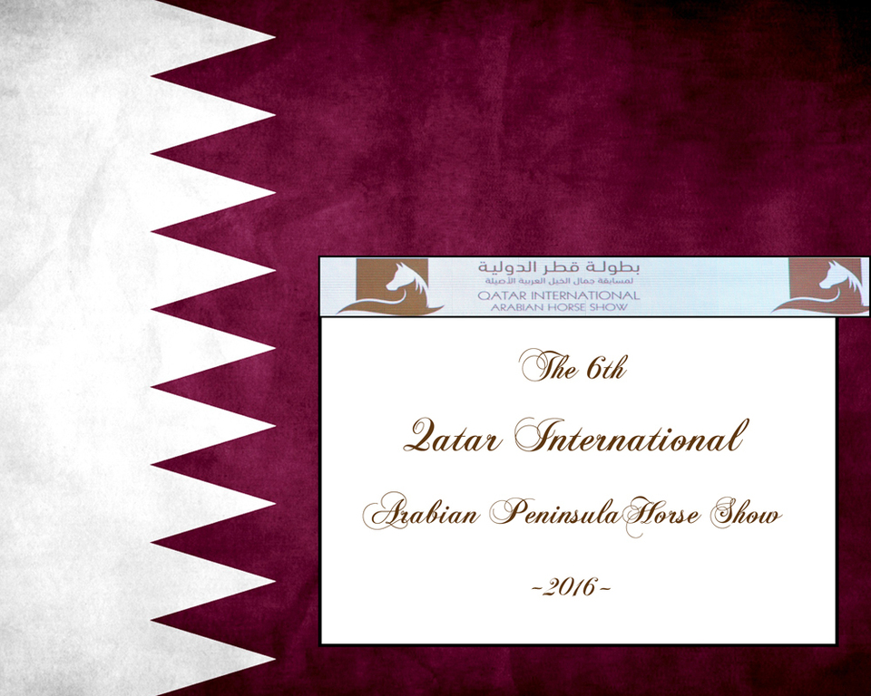 2016 Qatar International Arabian and Arabian Peninsula Horse Shows