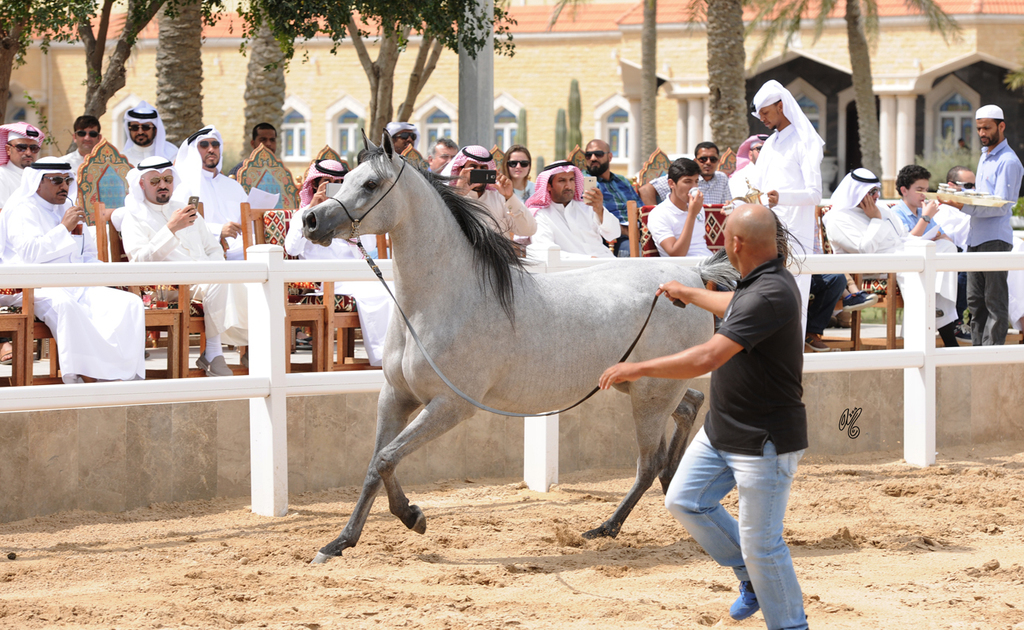 Al Waab Presentation