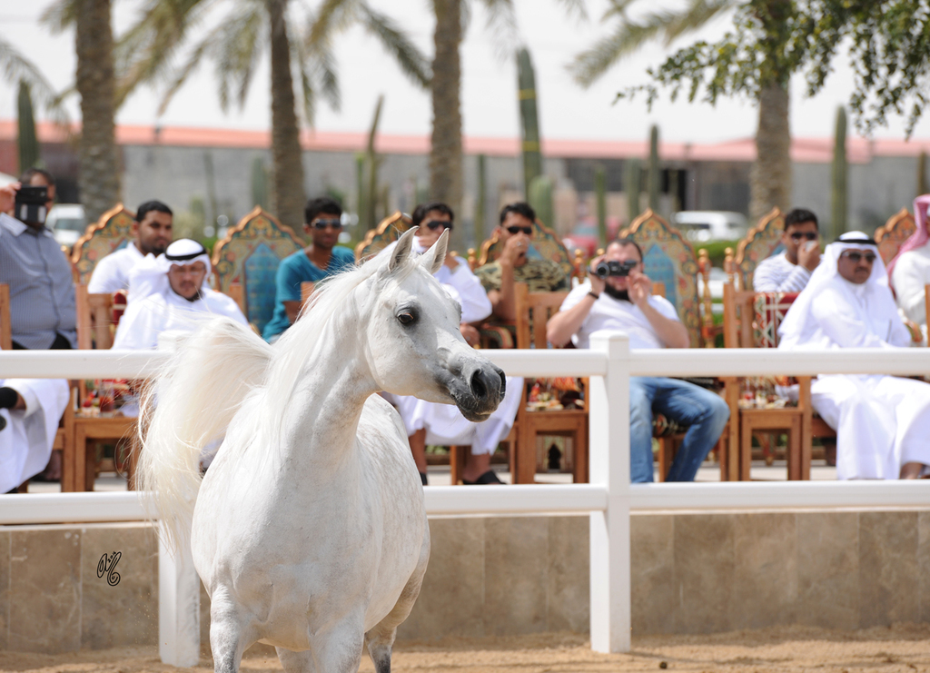 Al Waab Presentation