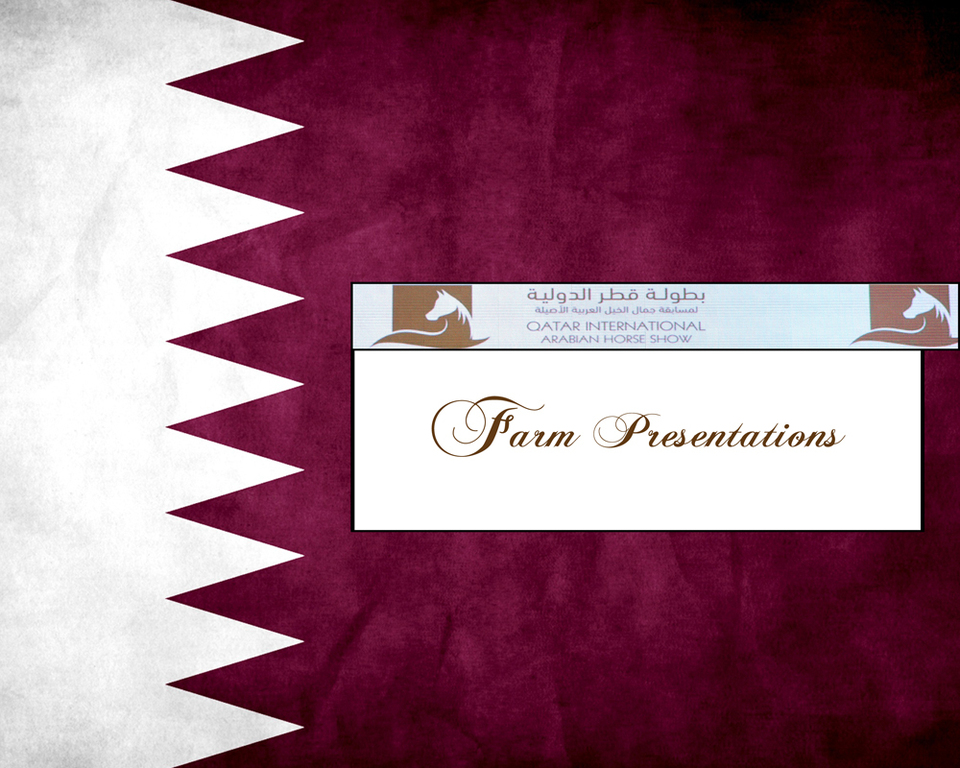 2016 Qatar International Arabian and Arabian Peninsula Horse Shows