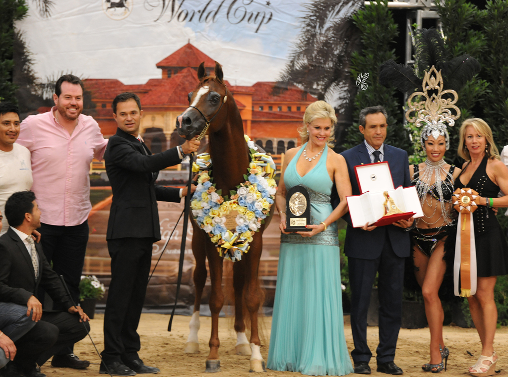 Senior Stallion Bronze Champion:  Ensync FMA (Eden C X Miss Fame MRM)