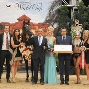 Senior Stallion Silver Champion: Marajj (Marwan Al Shaqab X RGA Kouress)